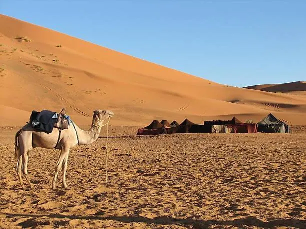 Desert Night Camping Dubai